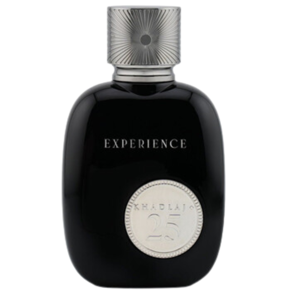 Black perfume bottle with silver cap and medallion detail labeled 25 Experience EDP fragrance decant sample